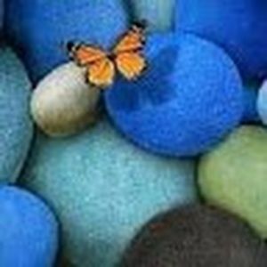 Meet your Posher, Keegan